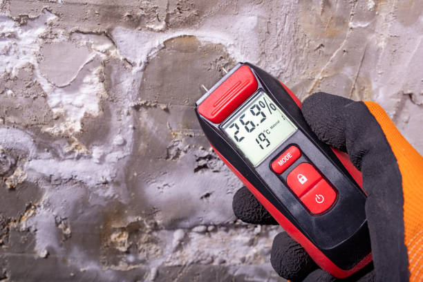 Best Mold Removal Process  in Woodstock, AL